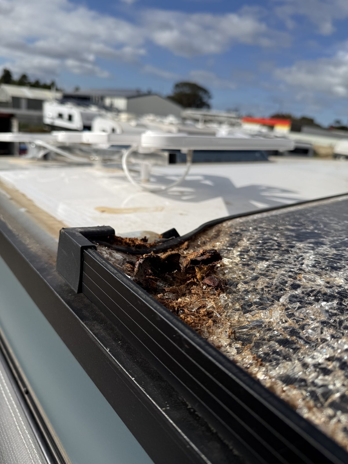 Solar panel shattered in a tree strike